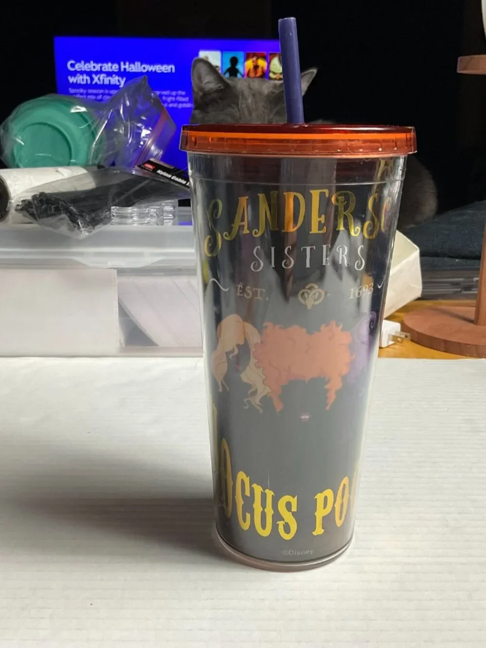 Disney Hocus Pocus Sanderson Sisters Tumbler